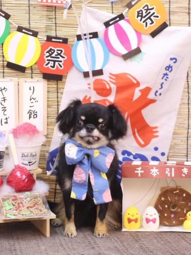 20240727ルナちゃん